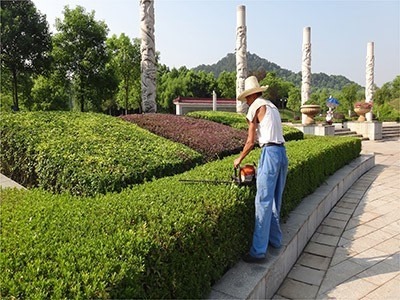韶關(guān)市專業(yè)園林綠化 從草坪養(yǎng)護到綠化工程的全方位服務(wù)