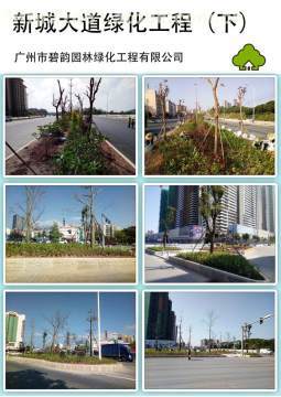 增城新城大道綠化工程 提升城市形象，筑就綠色長廊