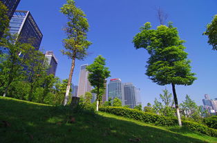 福建園林綠化工程招標(biāo)新規(guī) 景觀工程迎來規(guī)范與綠色新篇章