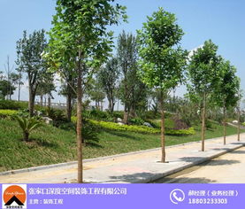 張家口綠化工程施工價(jià)格解析 深度空間裝飾工程的專業(yè)視角