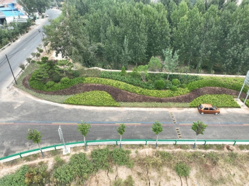 新絳縣林業(yè)局持續(xù)提升縣域道路生態(tài)綠化水平景觀工程成效顯著