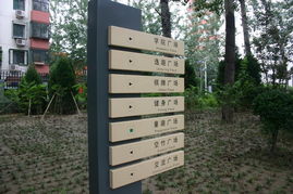2008社會(huì)精品工程 北京清華東路道路綠化工程解析